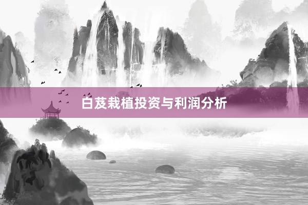白芨栽植投资与利润分析