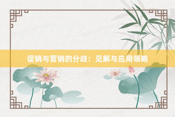 促销与营销的分歧：见解与应用领略